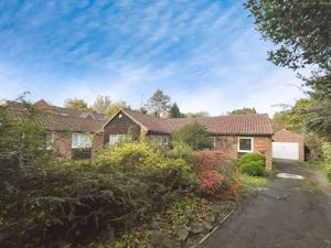 Photo 17- click for photo gallery